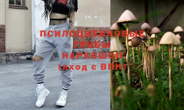 2c-b Алзамай